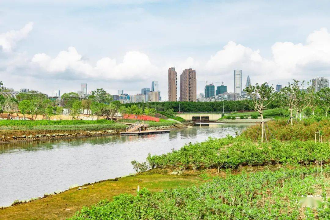 地址:南山区前海自贸区紫荆园二期的北侧交通:地铁9号线梦海站d口步行