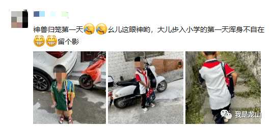 天心|“神兽归笼”！直击龙山开学第一天~