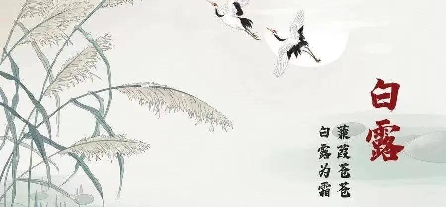 【节气】明日17时53分,白露至,秋意浓!睡好子午觉,保健又养生