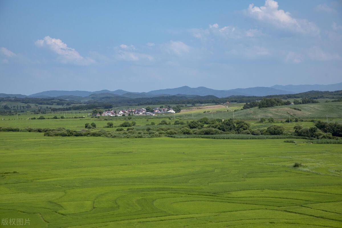 乡情小说老家新立屯的人和事