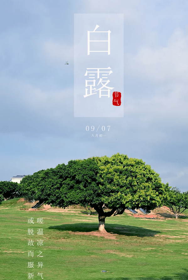 白露节气白露栖草木秋来气渐凉