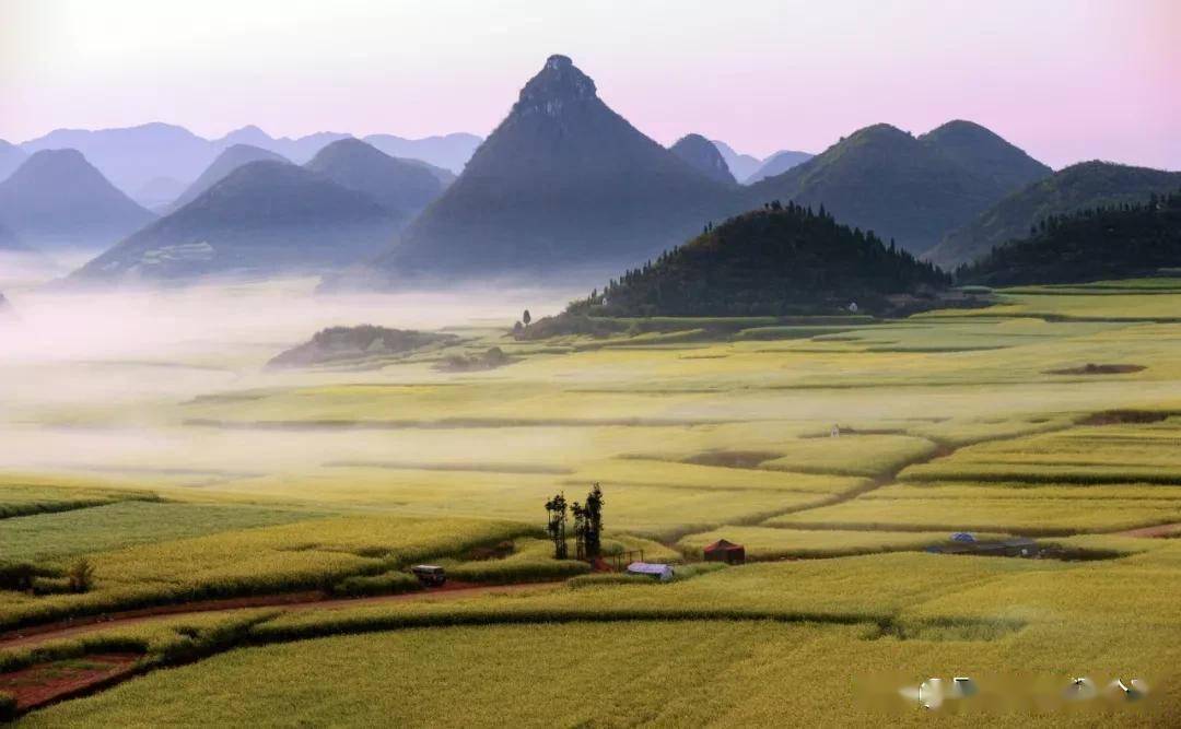 杨柳|诗词｜九首村居诗词，最美不过田园生活