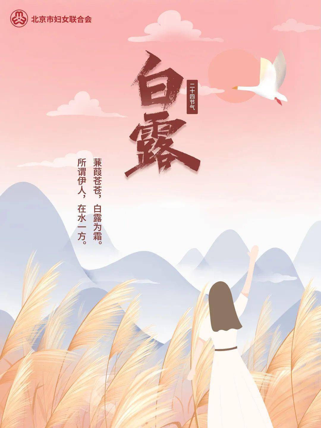 节气|露从今夜白,夜自此日凉_白露