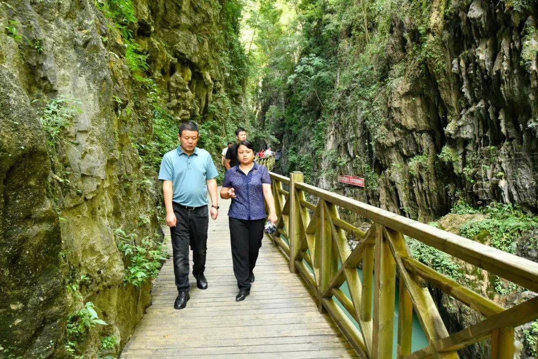 国家乡村振兴委员会 农业农村部调研组到开阳调研乡村振兴工作