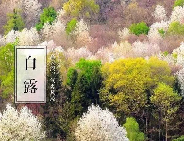 时节|白露秋分夜，一夜冷一夜