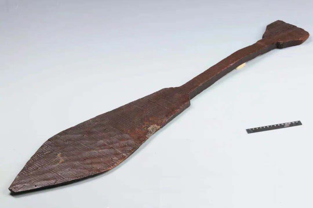 浙江划来的史前独木舟八千年前海洋探索的先行者