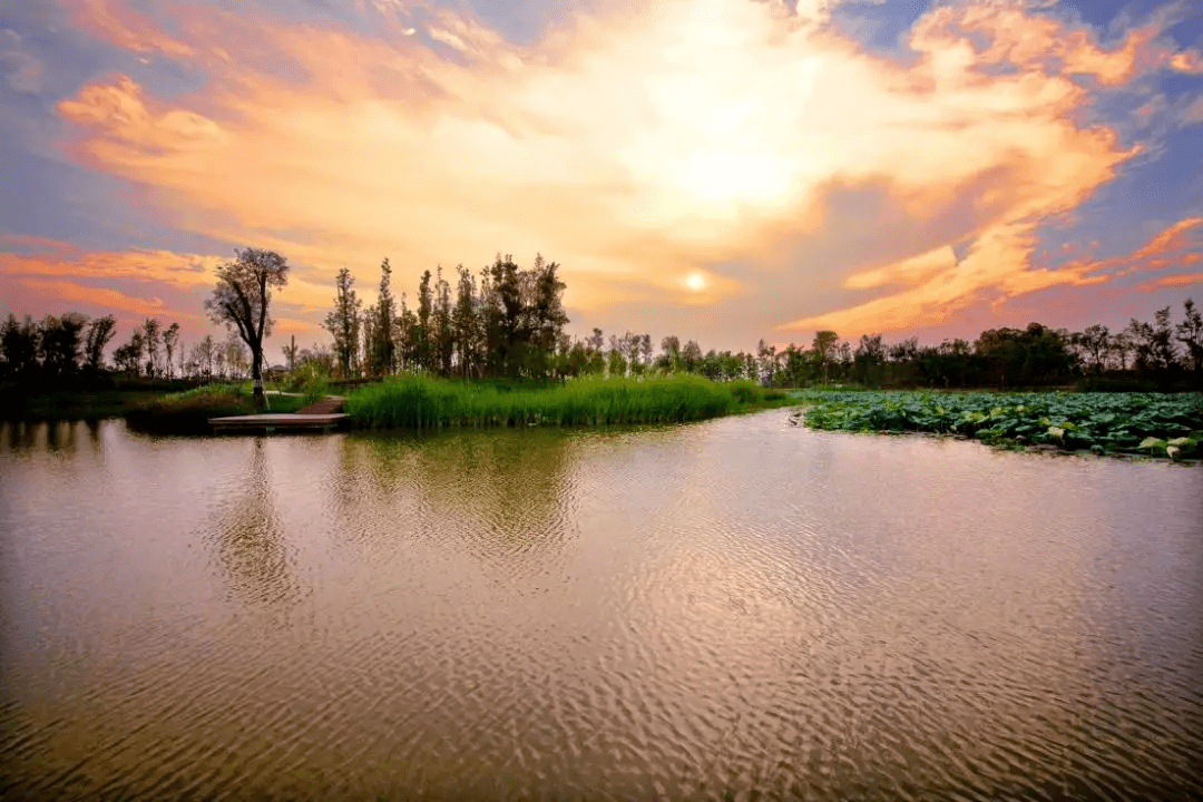 洛阳湿地公园图片