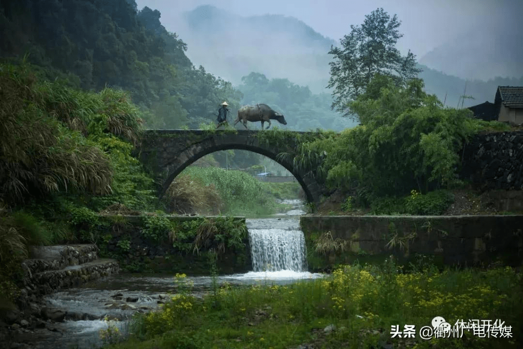 衢州的这些桥,你走过几座?_大桥