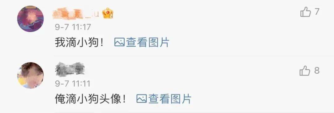 不会影响|冲上热搜！微信头像，还有这么个功能！