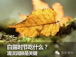 时节|白露秋分夜，一夜冷一夜