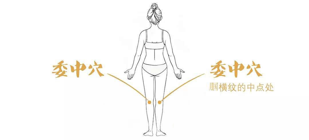 fe2296028c054060abd893c0b1048d6b.png