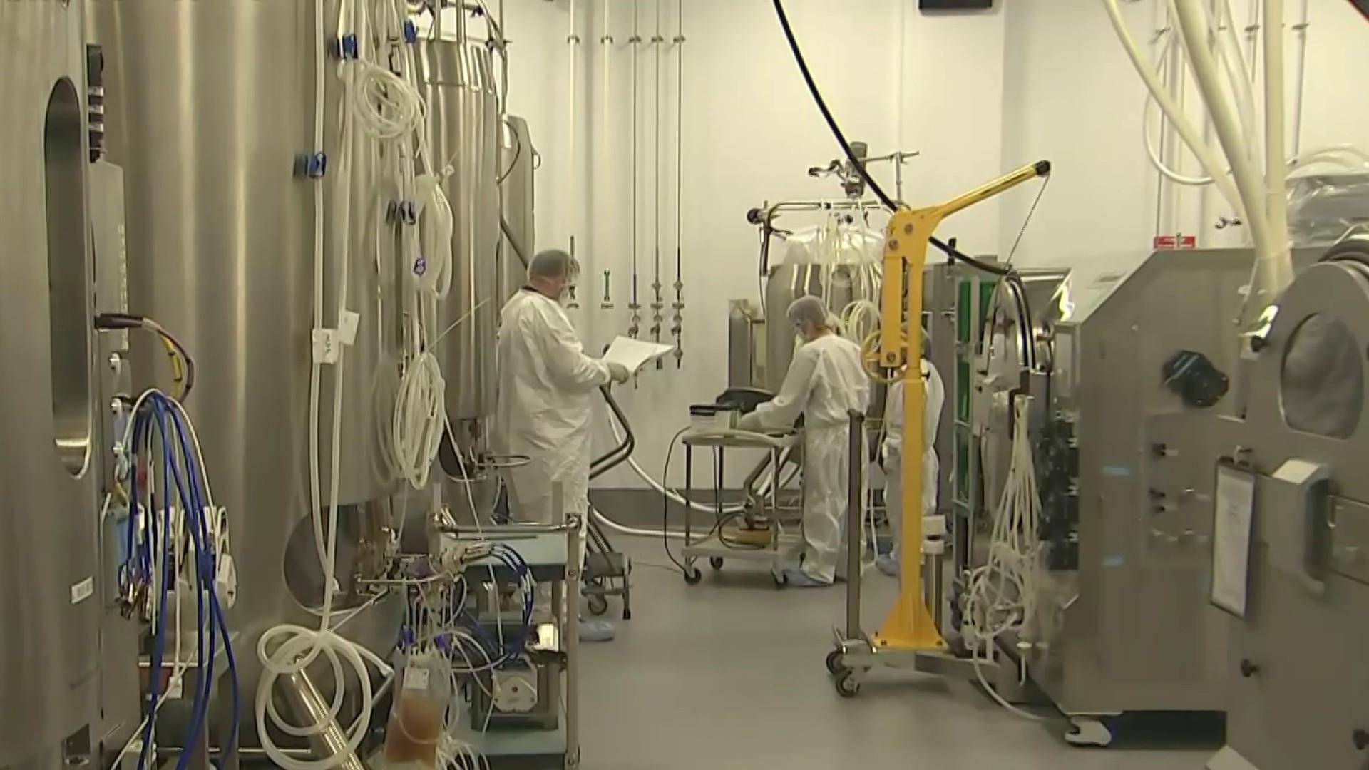 病毒|流感、新冠或有望被“双杀”？联合疫苗临床试验已启动