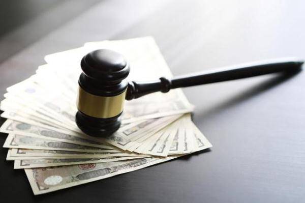 鹅绒被排行_鹅绒产品不到20%,填鸭毛的“加拿大鹅”被罚