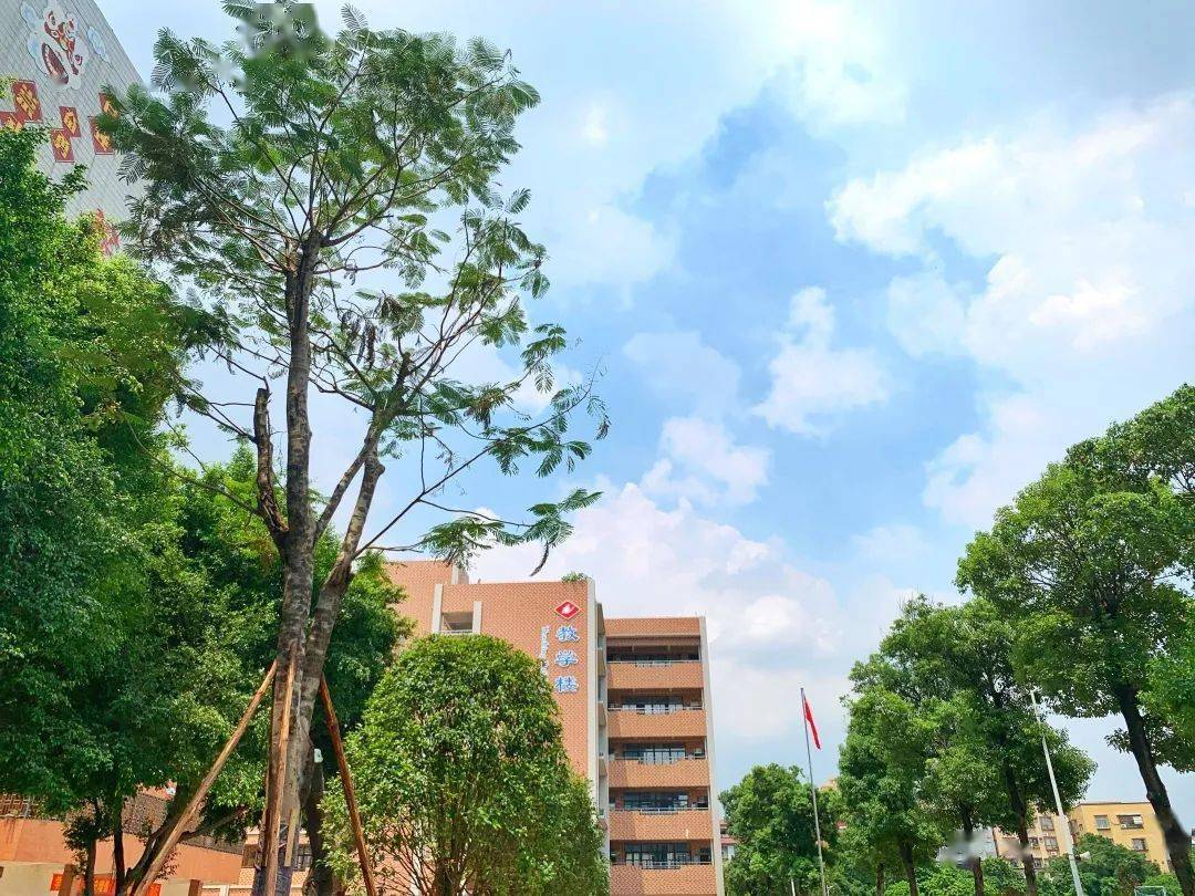 校园风采张槎中学不止书香还有花香树茂