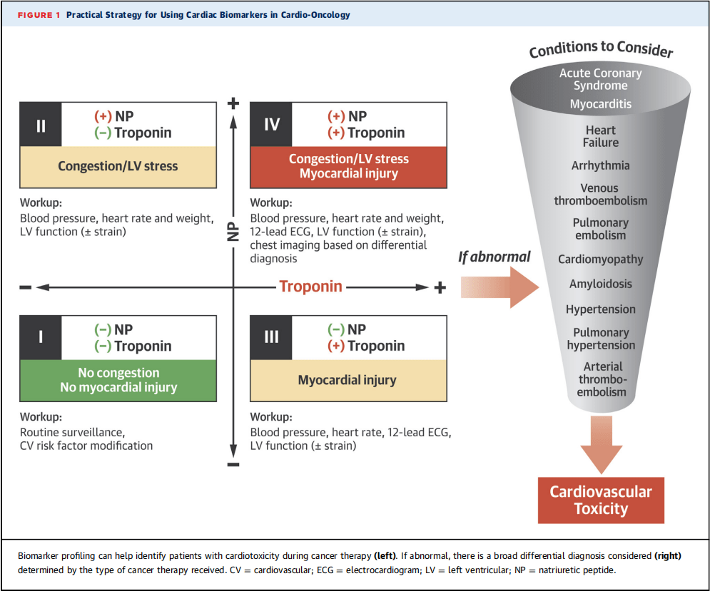 臨床實踐 | 生物標誌物用於腫瘤心臟病學的臨床決策——以三個病例為