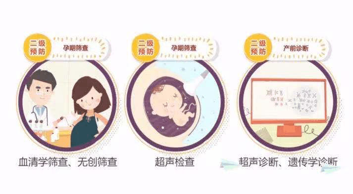 预防出生缺陷---产前筛查帮您科学孕育_诊断
