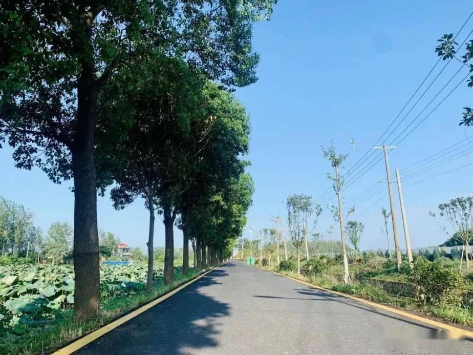 澧县如东镇永镇村:一条柏油路,致富加速度