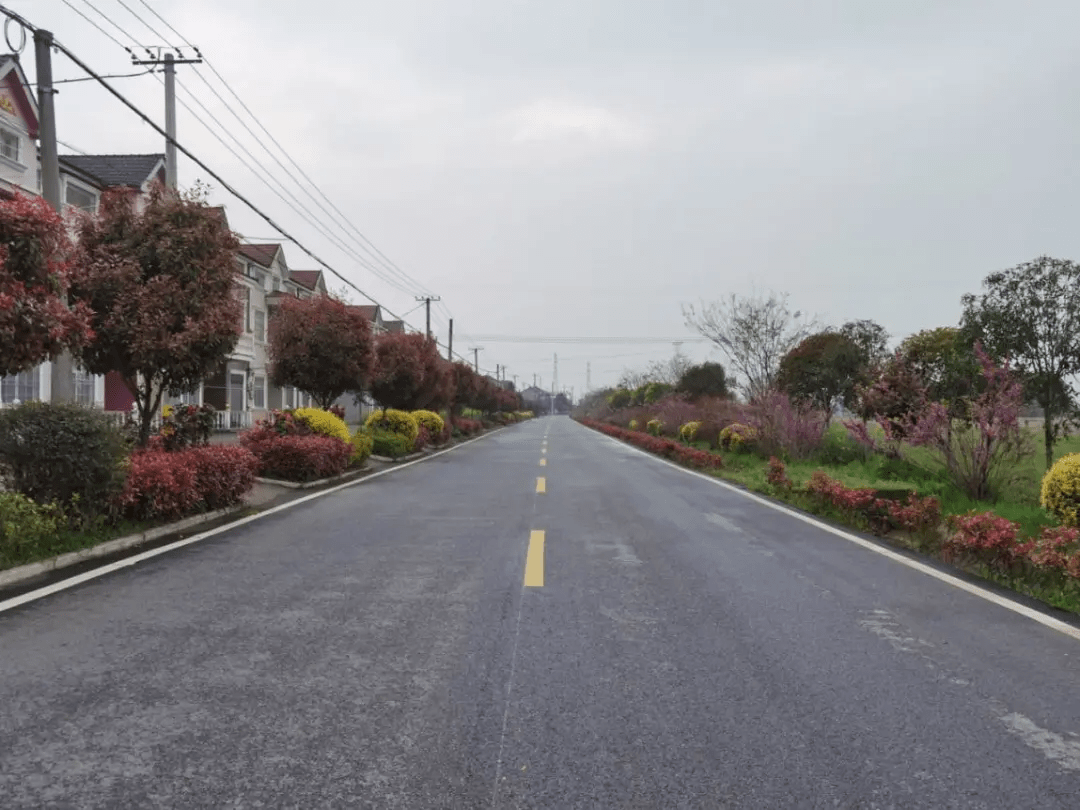 荆州区八岭山镇创建移民美丽家园助力乡村振兴发展