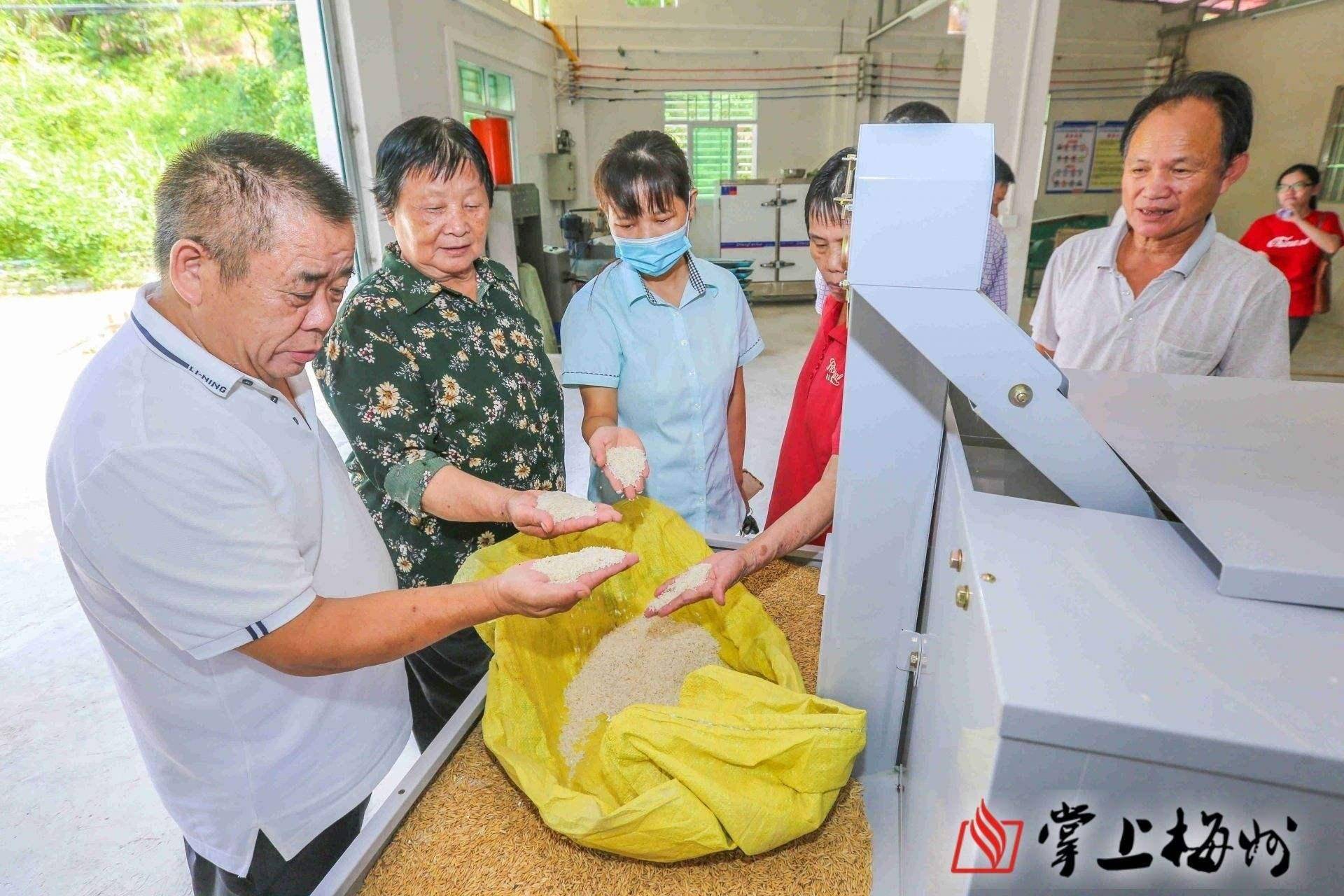 平台|“走，上村委，找机器人！” 兴宁这个“智慧村”有律师机器人来助阵