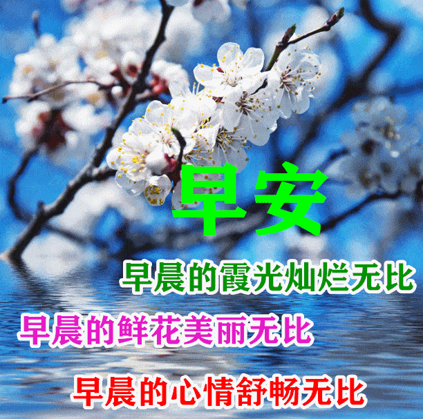 早上好动态表情图片大全早晨好动图美图大全