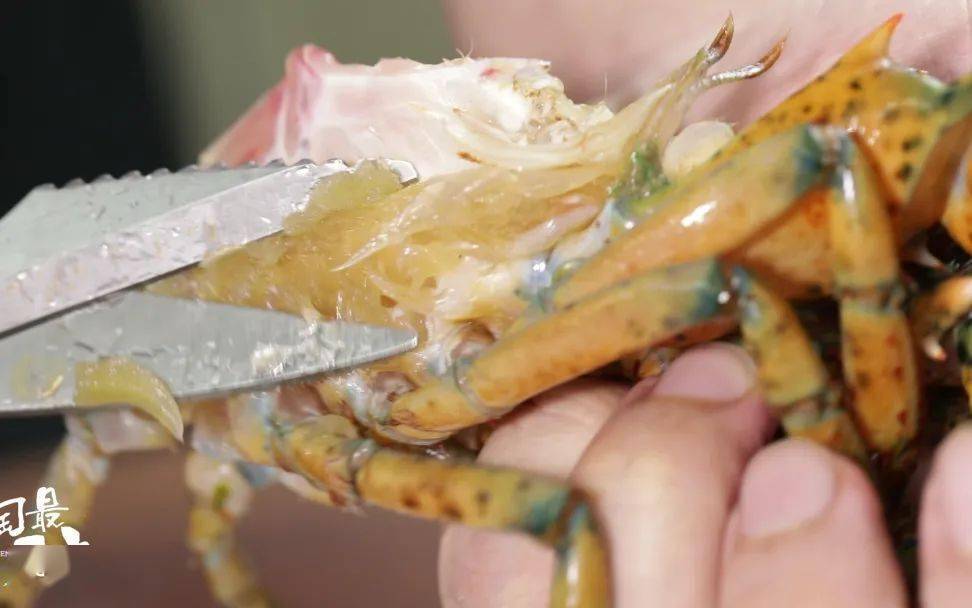 文末福利惊喜大放送……_龙虾