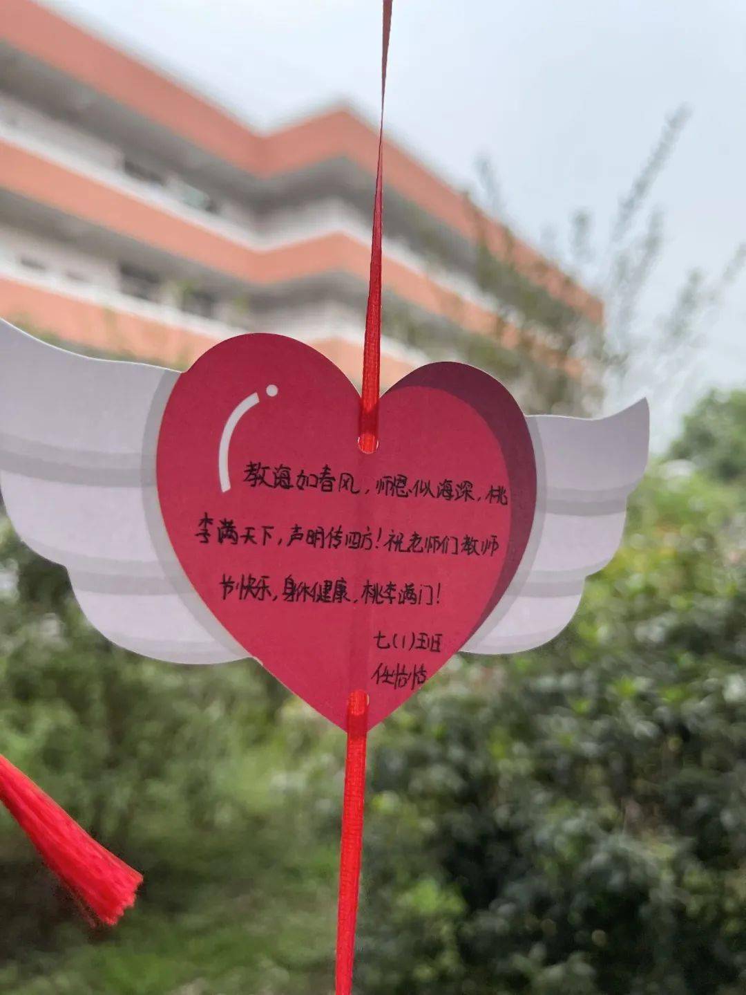 表白我的宝藏老师
