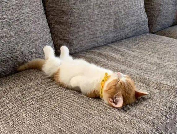 躺平现象的心理学不是放弃自我颓废而是换成自己的人