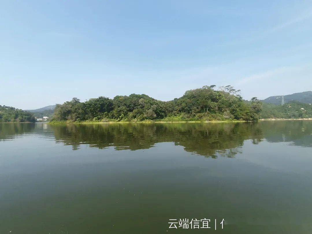 生态美丽的尚文水库9月10日上午,信宜市尚文水库管理处集中销毁寅批