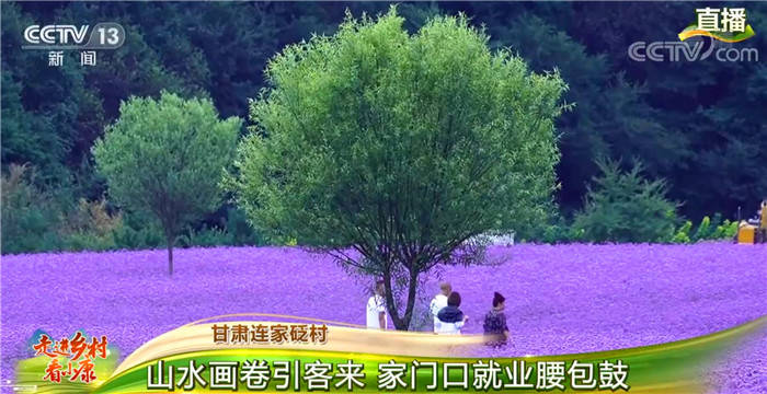 小康|走进乡村看小康 | 甘肃连家砭村：山水画卷引客来 家门口就业腰包鼓