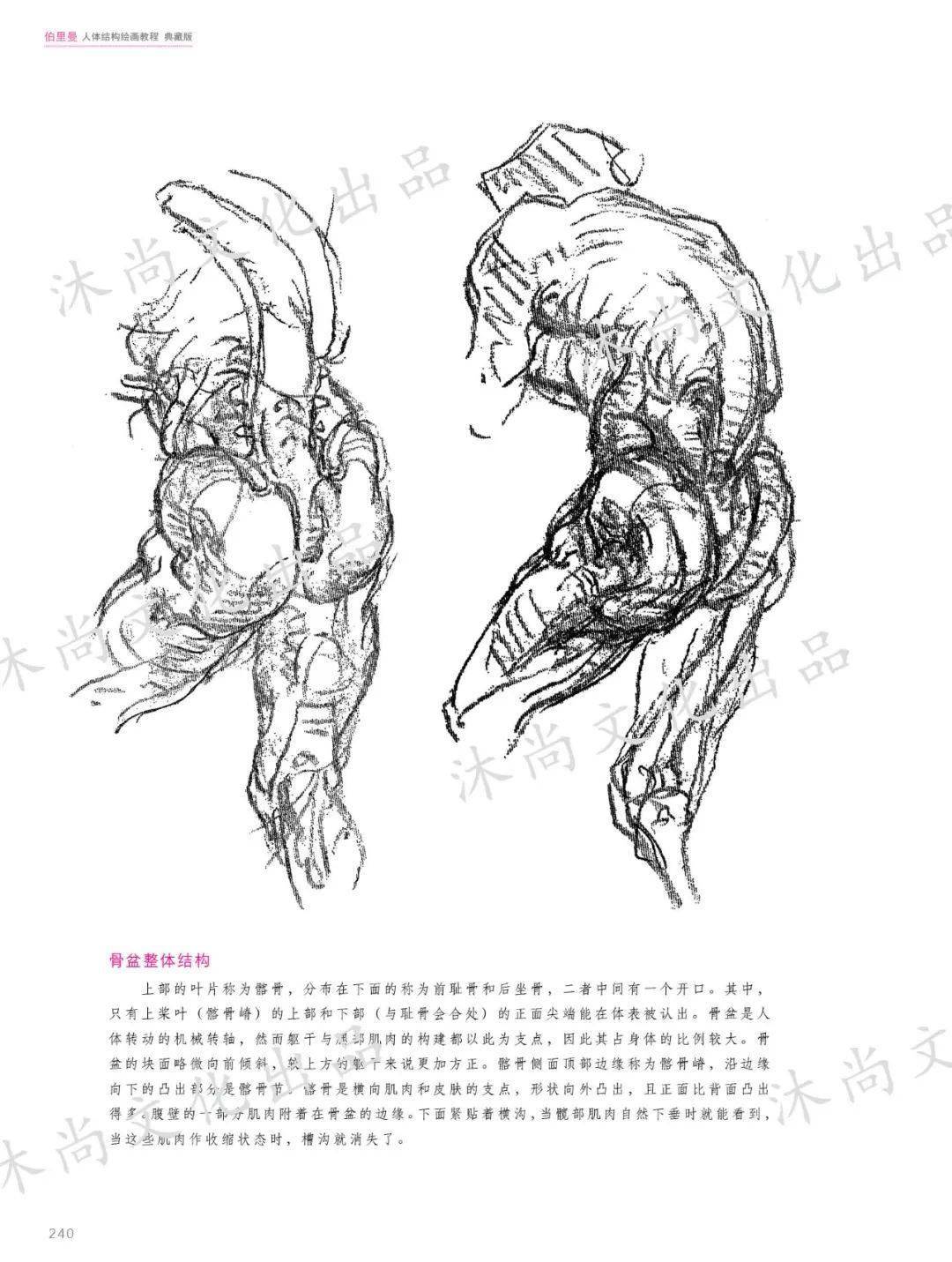 《伯裡曼人體結構繪畫教程》_部分