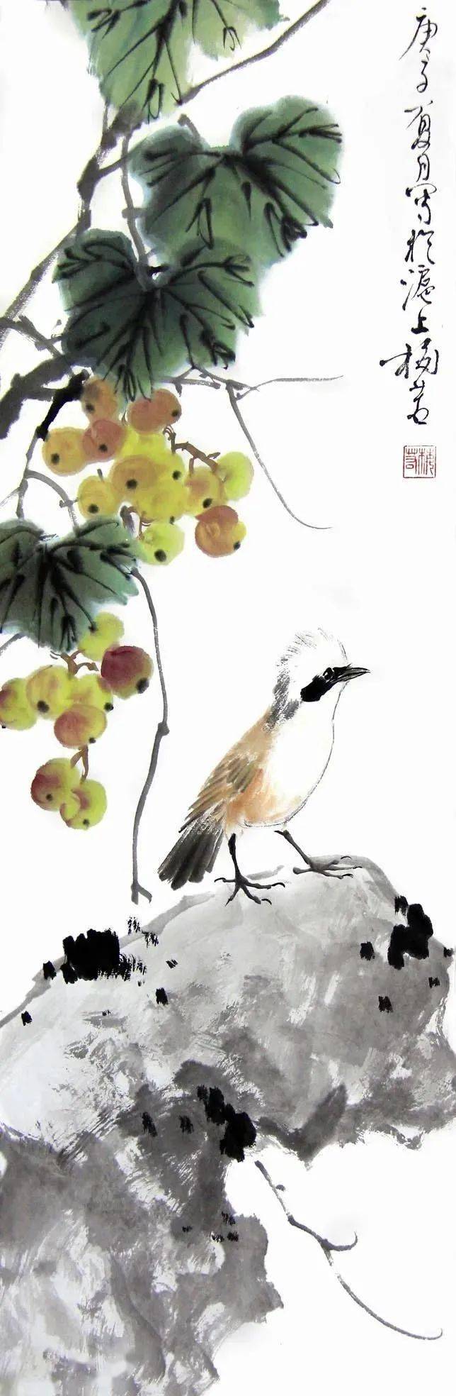 梅若老师画鸟,灵动可爱_国画