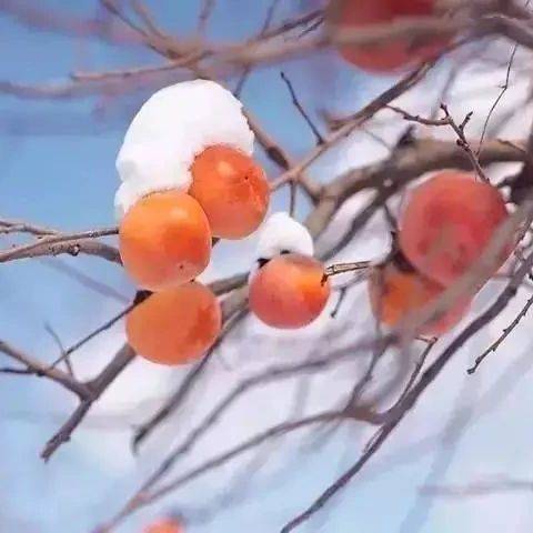 腾出一方空间给心灵_果子