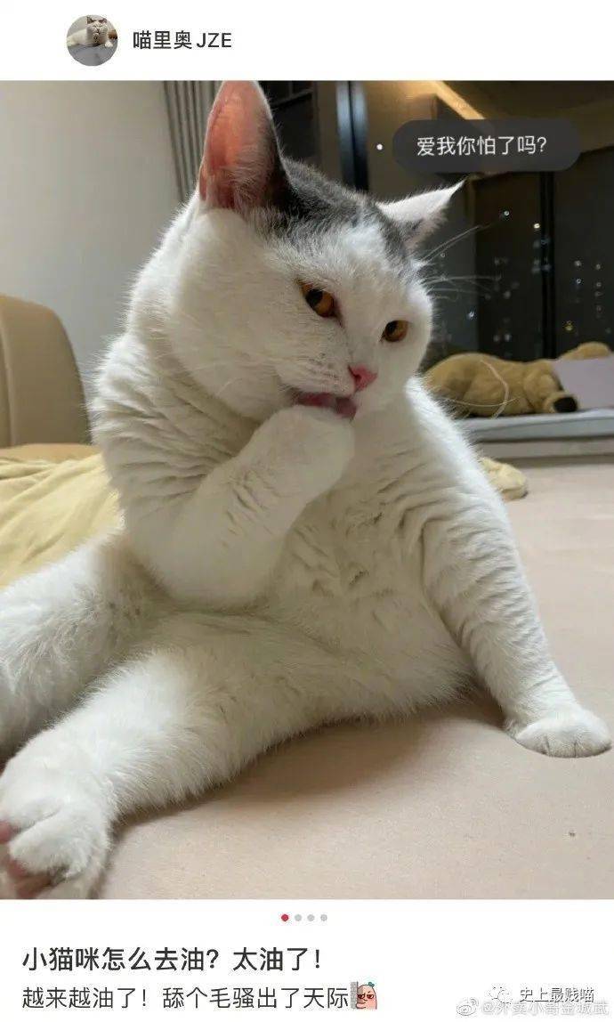 636c4658b50947b387c5ceaafba95186.jpeg
