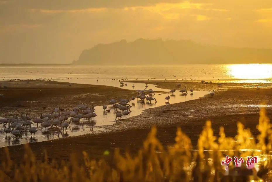 内心|人生下半场，守好五个字