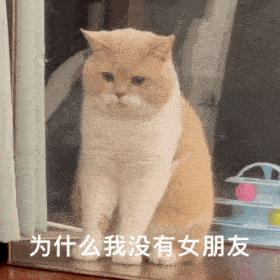 7780a771f5774a8dbdb6b0a8a628f36f.gif