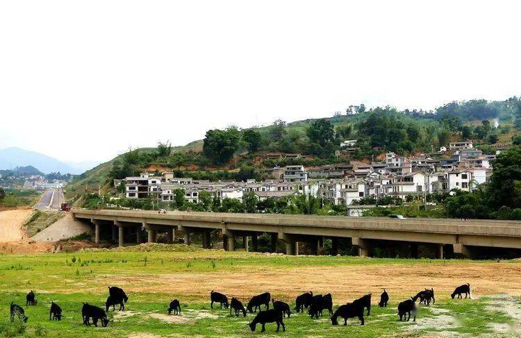 鹿鸣村