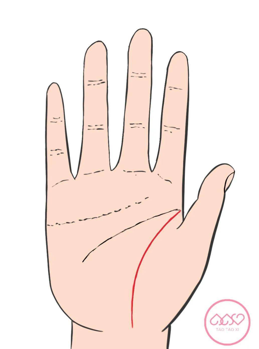 因为这条手纹被称为生命线,常常让人误以为生命线表示了寿命长短,于是