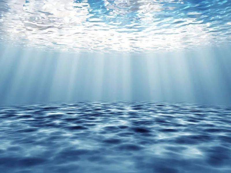 灵感|时尚圈的新物种，一只“海豚”的潮流单品“上位”史