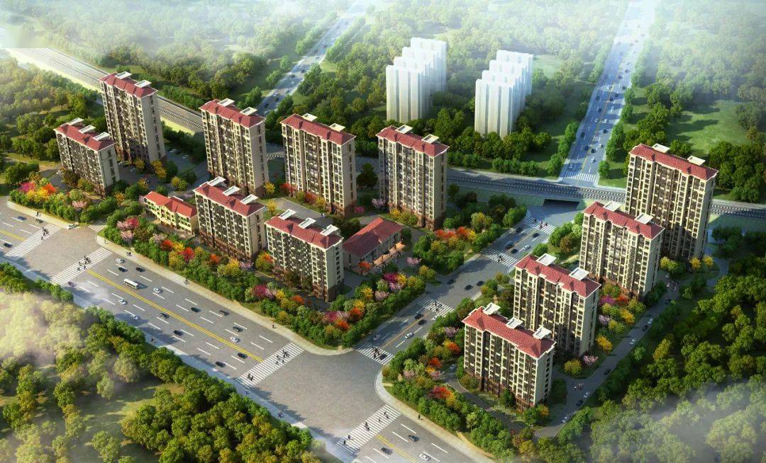 报名条件公布!