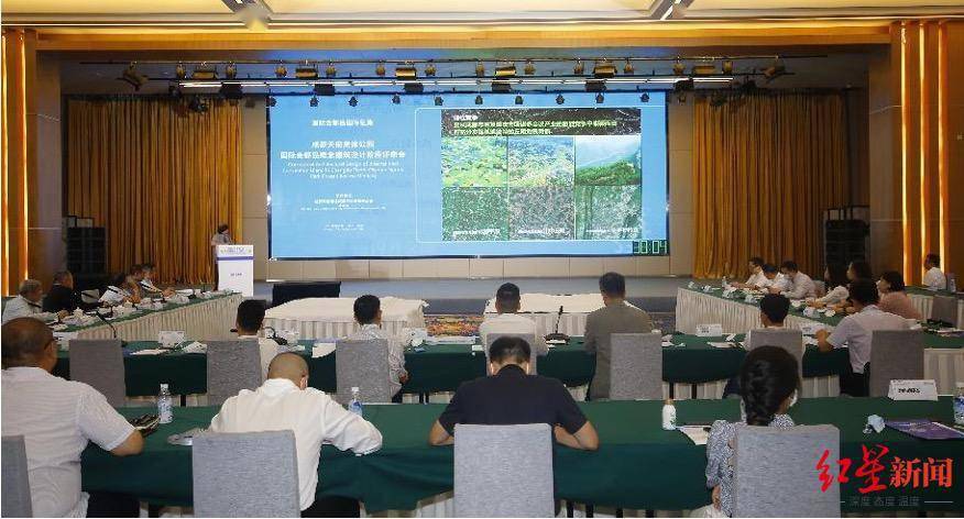 天府|成都天府奥体公园国际会都岛设计方案评审，你pick哪一个？