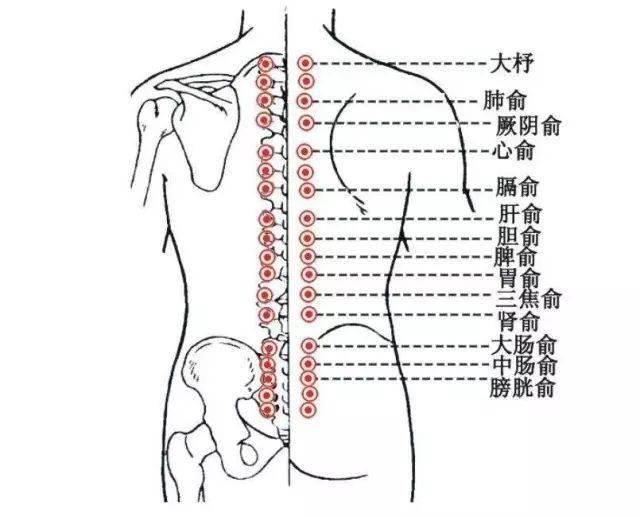 正确的背部刮痧方向图图片