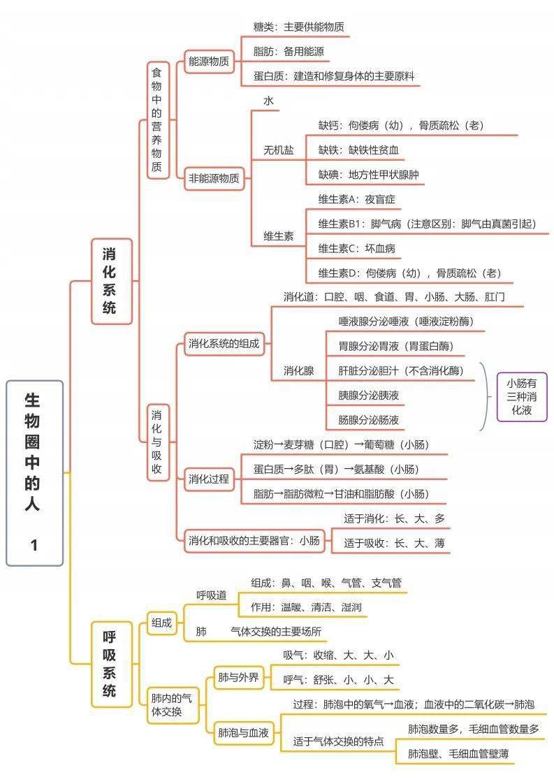 初中生物思维导图总结