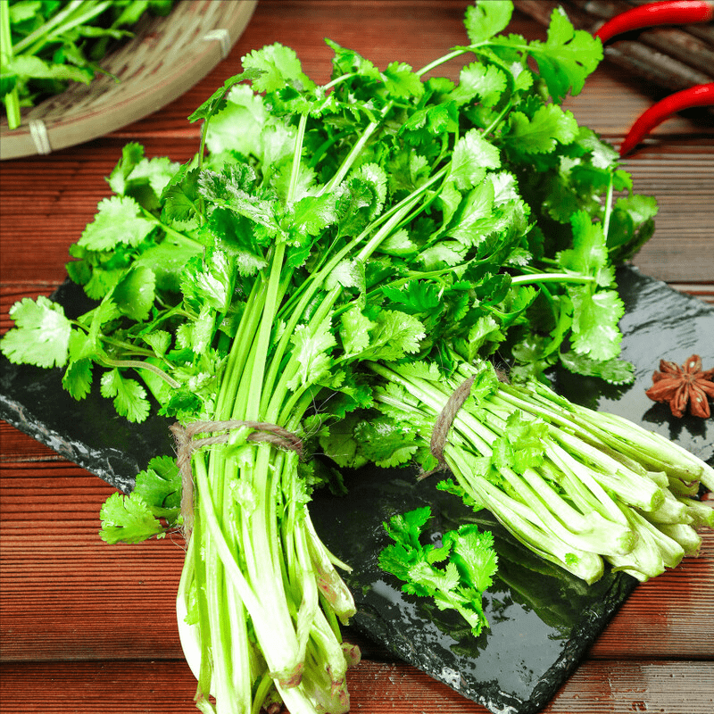 香菜怎么保存不变味 2067ae973a4842518d73f6aa50114dc5.png