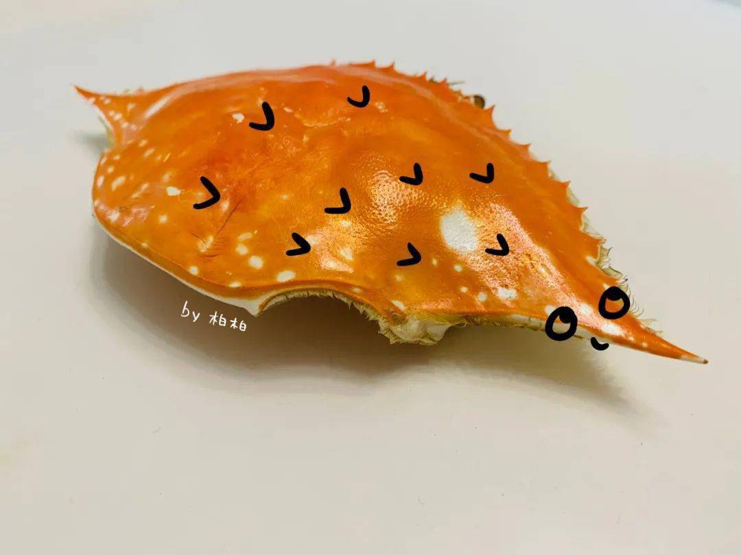 啃完螃蟹壳别扔还可以拿来画画