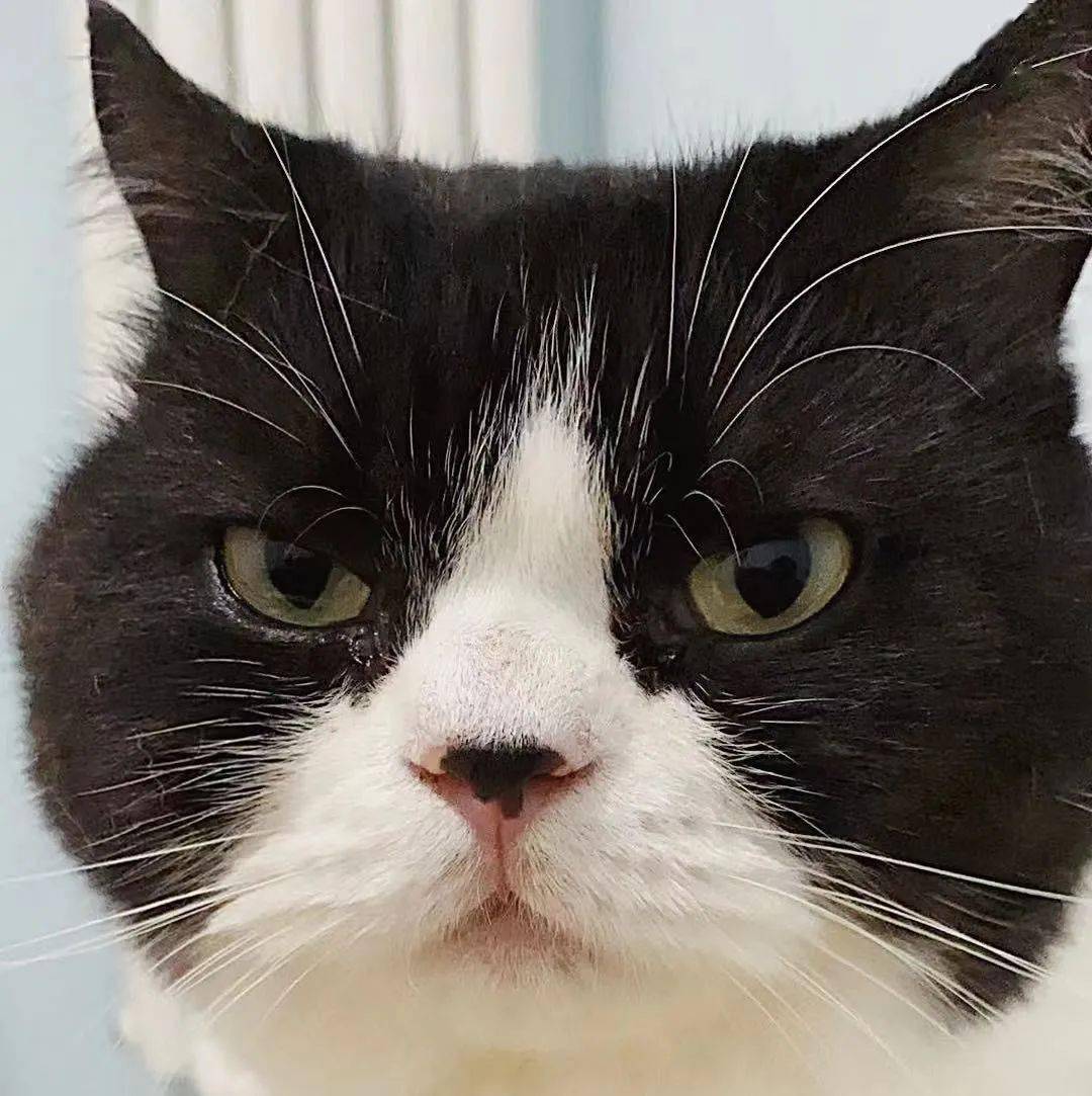 看着我现在要你的是谁我要你现在把说出来 自媒体热点