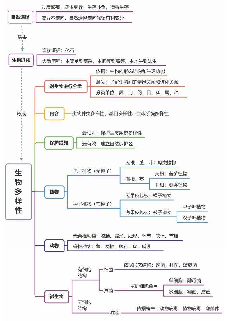 初中生物思維導圖總結