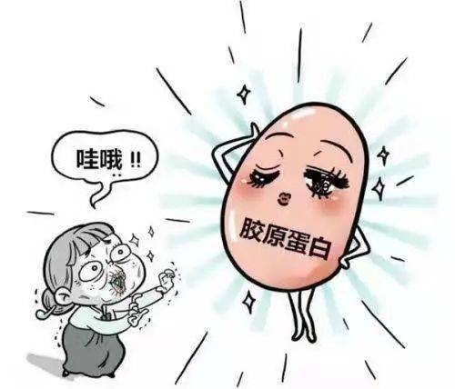 补充|12355安全自护 | 都说“吃啥补啥”……吃胶原蛋白能补胶原蛋白吗？