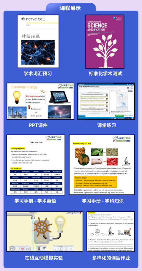 杨数|南安普顿大学最新研究：如何激发孩子学化学的自驱力？