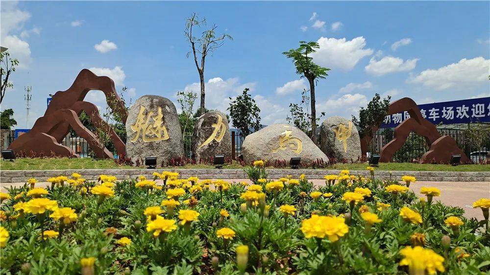 【项目攻坚】马甲镇聚力项目攻坚,争当发展先锋