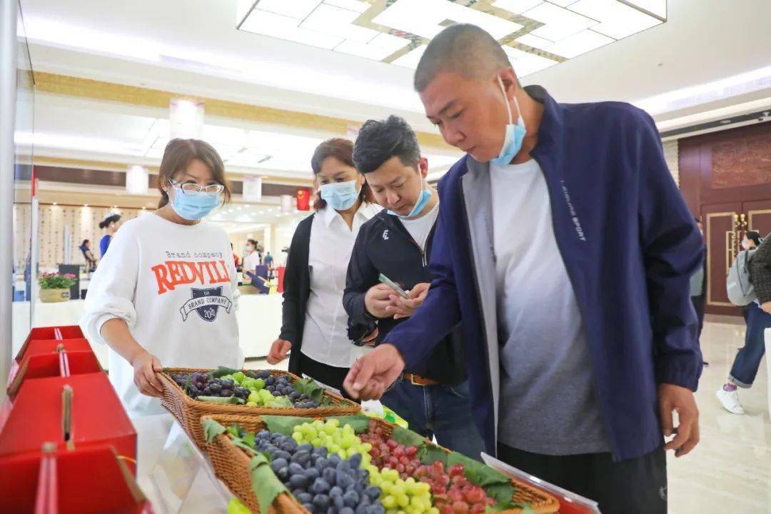 活动|葡韵悠远 回味绵长